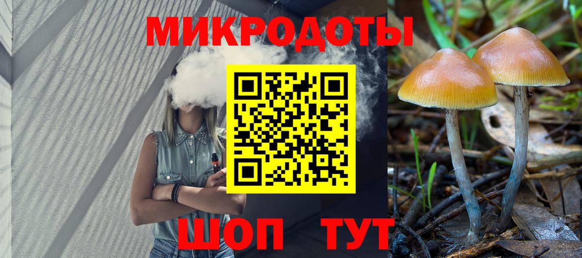 Псилоцибиновые грибы прущие грибы Новозыбков