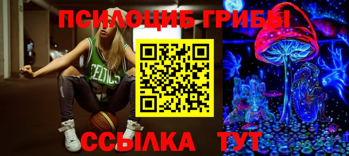 Новозыбков  Галлюциногенные грибы ЛСД  Вход с VPN 